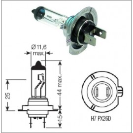 Žarulja 12V H-7 55W