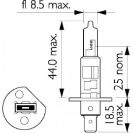 Žarulja 12V H-1 55W +50%