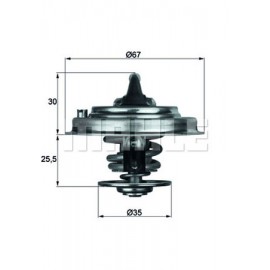 Termostat VW/Audi 2,4/2,8 V6 Behr